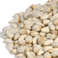 safflower-seeds